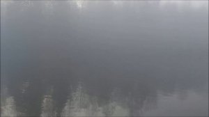 Туманное утро на нижнем. Клёвое место, Лосиный остров.