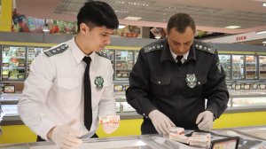 Город в движении