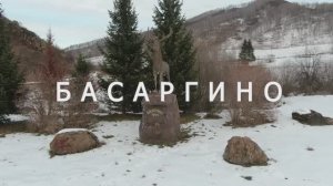 Басаргино