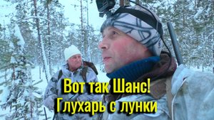 Вот так шанс! Глухарь с лунки. Зимняя охота. Разведка новых мест.
