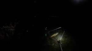 Открытие сезона ночной ловли карпа 25 на 26 марта 2025 #рыбалка #карп #открытиесезона