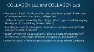 TRIPLE HELICES OF COLLAGEN