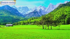 #Islam#Quran#AnNahl#ٌMinshawiy#Коран#АнНахьл#СамыеКрасивыеМеста#Relaxation#4кВиде#12часть#