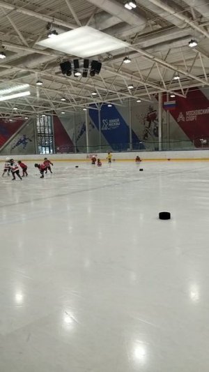 хоккей февраль 24