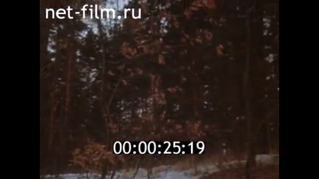 Альманах кинопутешествий № 121 Путями первопроходцев и др.,1977г