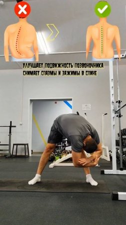 ✅мобильность и гибкость позвоночника