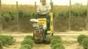 Машина для выкопки растений Pazzaglia FZ 50