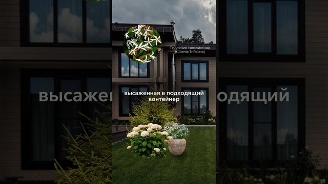 Книга «60 готовых решений для вашего сада»