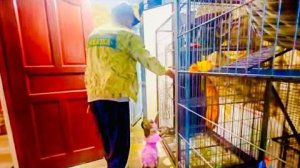 Люська ПРИБЕЖАЛА ДОМОЙ,но не нашла там детей и СБЕЖАЛА из дома,а потом и из воль