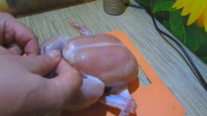 Копченная Курица сухого посола