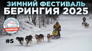 Берингия 2025 Гонка на собачьих упряжках река Квачина Седанка Тигиль #5