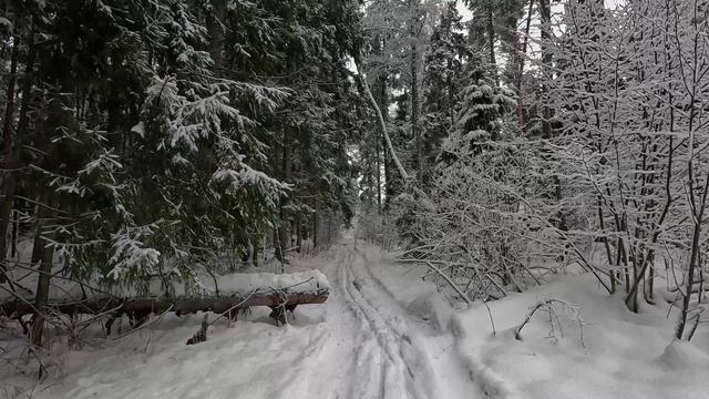На лыжах 1 смотреть онлайн