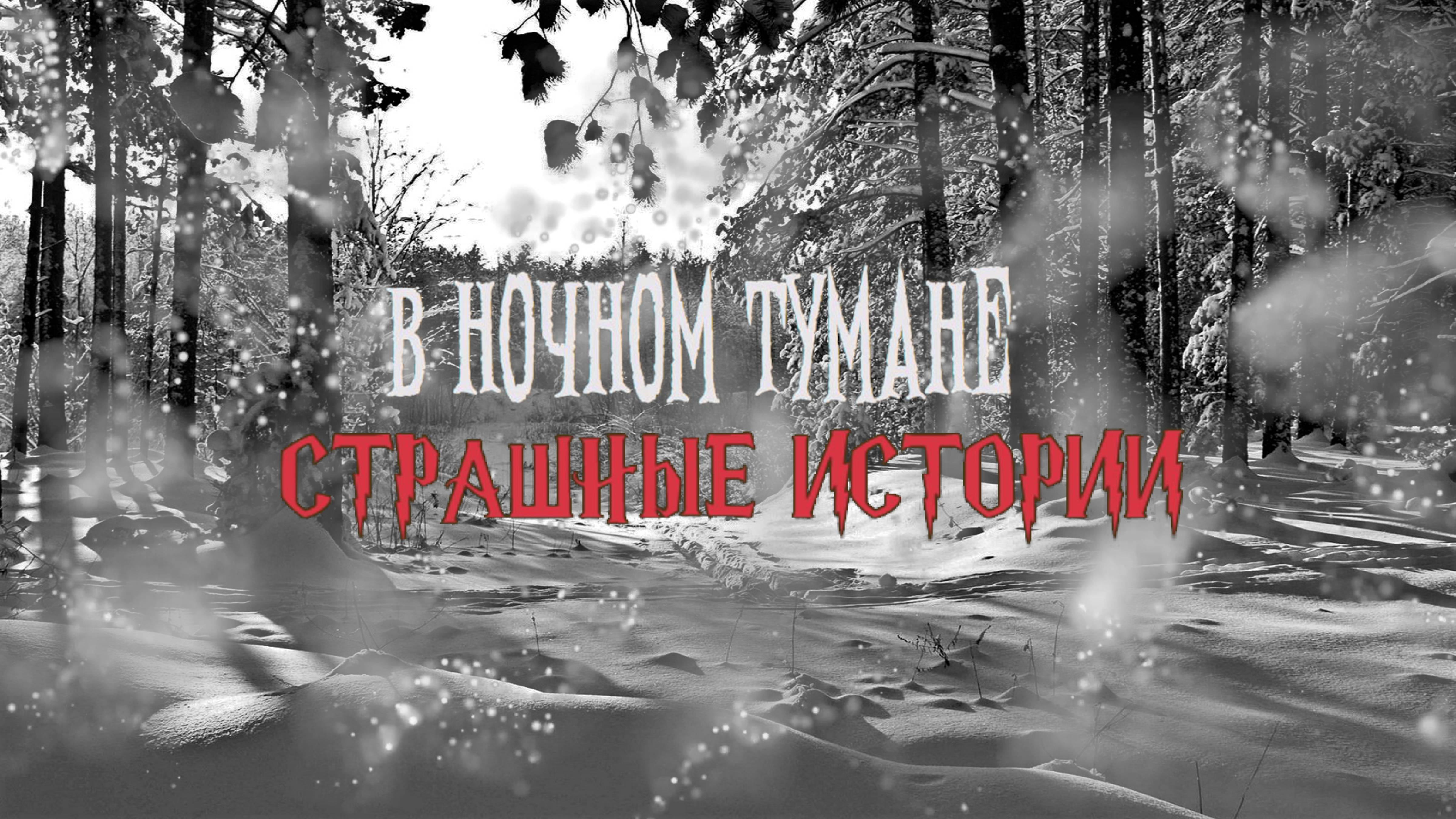 СТРАШНЫЕ ИСТОРИИ НА НОЧЬ | В ночном тумане | СТРАШИЛКИ НА НОЧЬ