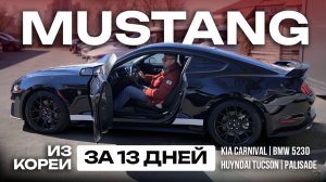 Ford Mustang из Кореи за 13 дней! Обзор стоянки во Владивостоке