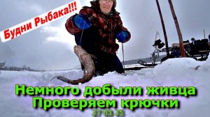 Немного добыли живца Проверяем крючки 27 03 25