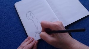 Простые рисунки Как нарисовать тюльпан пошагово Простые рисунки карандашом. Как нарисовать цветок.