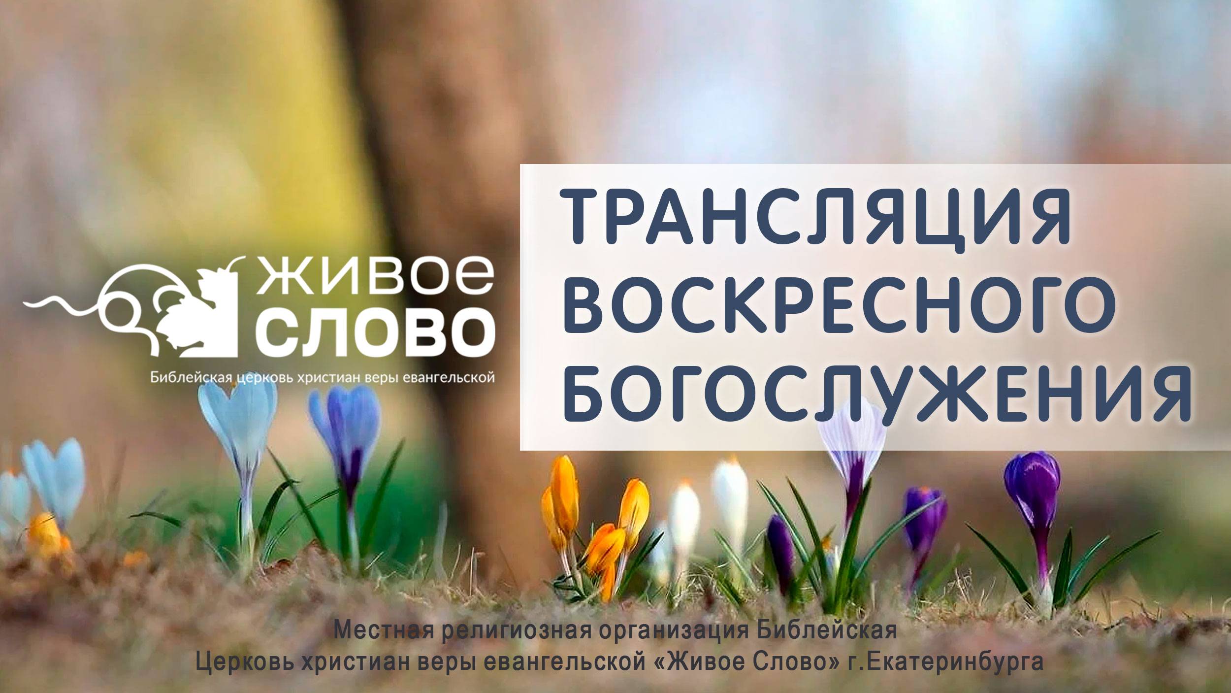 30 марта 2025 в 11:00 (ЕКБ) / Воскресное #Богослужение / Церковь «Живое Слово»