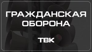 Почему возникают лесные пожары? / «Гражданская оборона»