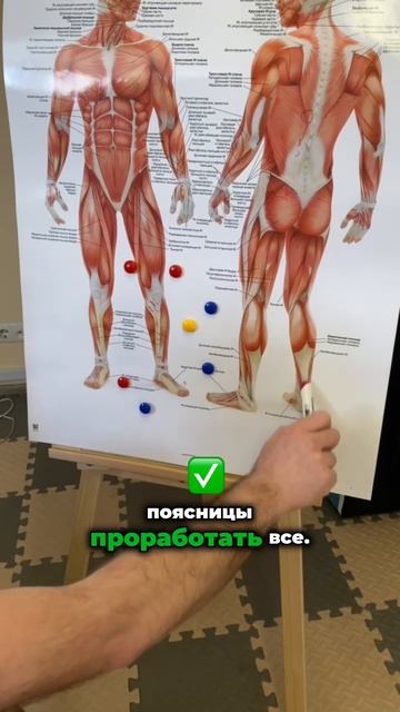 МЫШЦЫ ДОЛЖНЫ ДВИГАТЬСЯ! КАК ПОДГОТОВИТЬ ТЕЛО К ГЛУБОКОЙ КОРРЕКЦИИ
