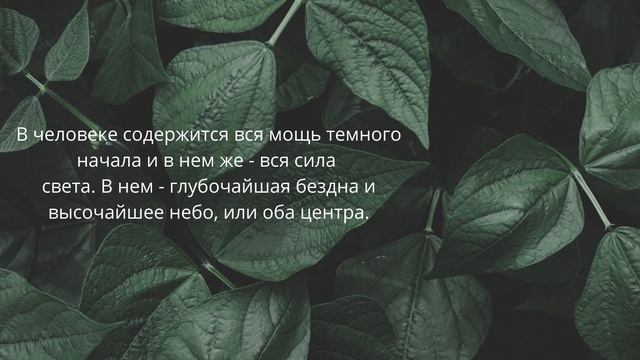 Великие цитаты от философов. Фридрих Шеллинг смотреть онлайн