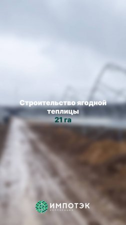 Сезонная теплица Ягодная
