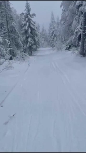 #shorts Уреньга - Челябинская область смотреть онлайн