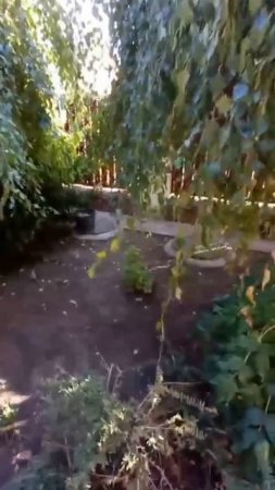 Как легко повысить производительность септика в доме