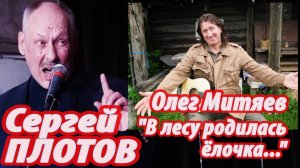 Сергей Плотов - "В лесу родилась ёлочка..." (пародия на Олега Митяева)