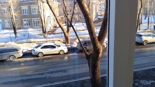 студенческая