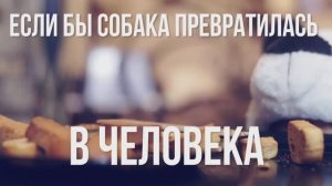 Если бы собака была человеком🐶😂