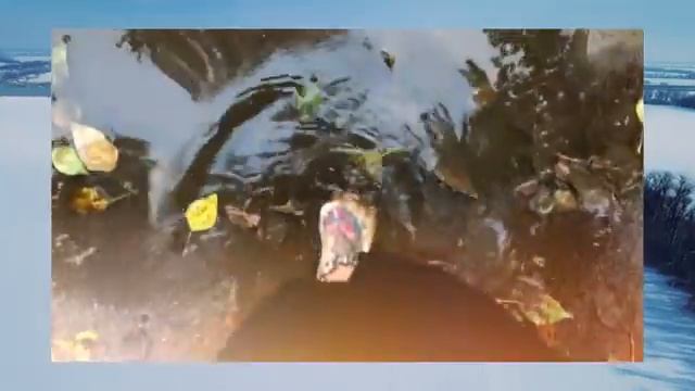 МАГИЯ СТИХИЙ. КАК ОБУЧИТЬСЯ МАГИИ ЗЕМЛИ. смотреть онлайн