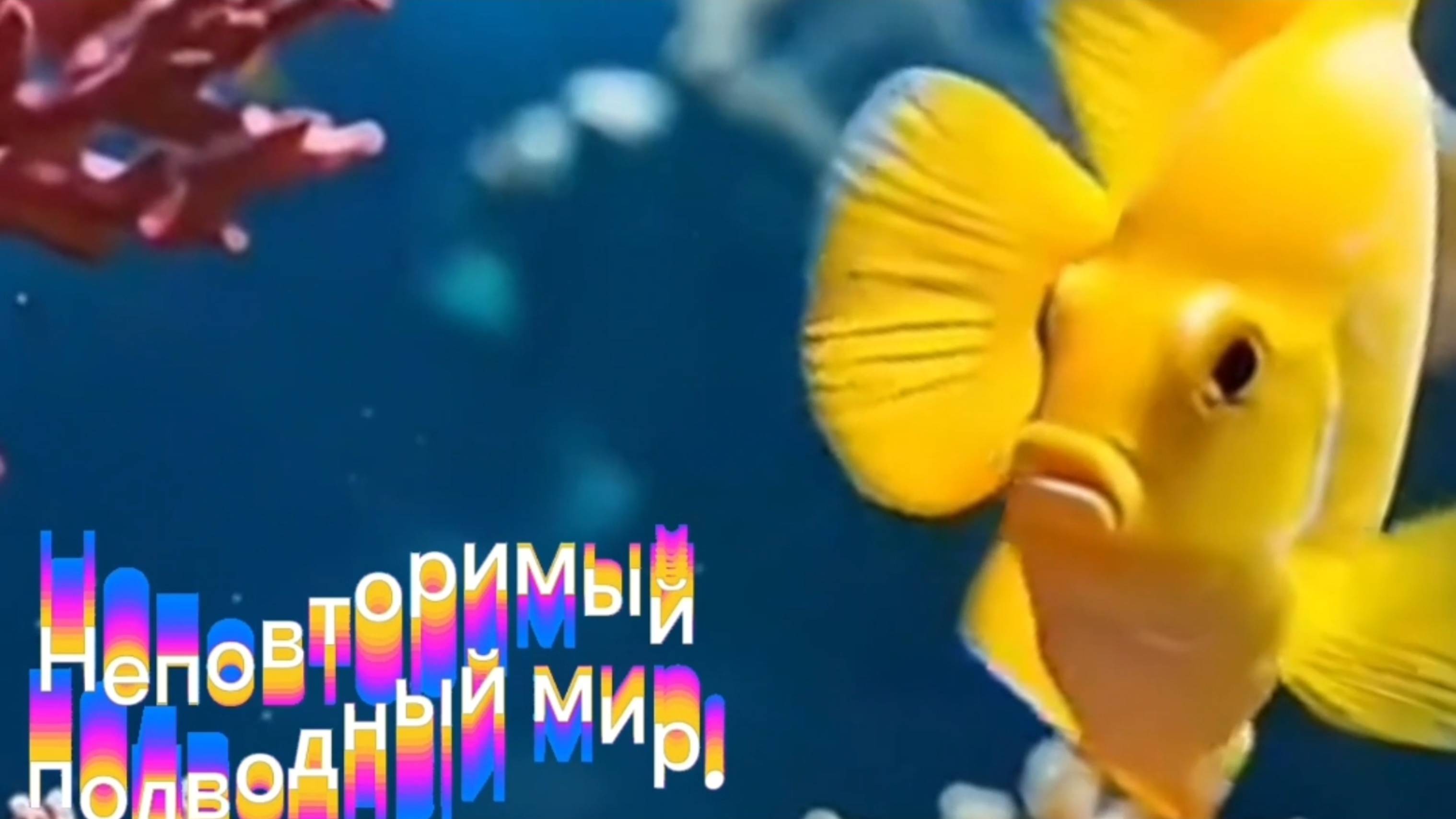Неповторимый подводный мир.#водоросли
 #подводныймир
#морскаяжизнь
#Bobojon - Aram Aram