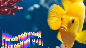 Неповторимый подводный мир.#водоросли
 #подводныймир
#морскаяжизнь
#Bobojon - Aram Aram