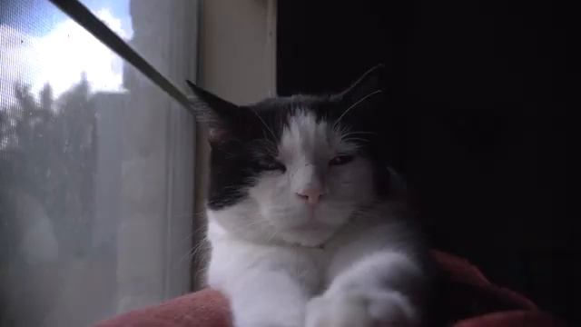 Осознанные сны - рабочая схема по Кастанеде смотреть онлайн