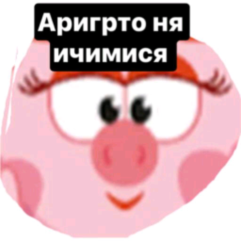 едем на поездку
