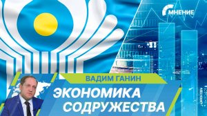 Сотрудничество стран СНГ в экономической сфере: возможности и перспективы