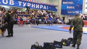 Юный файтер-24.02.2008 г. - 2) Спецназ, Собака.