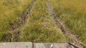 Газ 71 и болото.