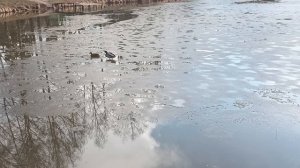 Прогулка