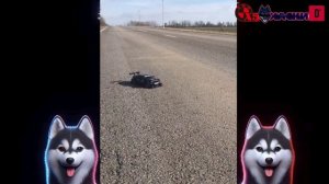 Дрифт машинка BMW радиоуправлении . Высокоскоростная 40км.ч Артик. на озон 1788951946 на wb302562943