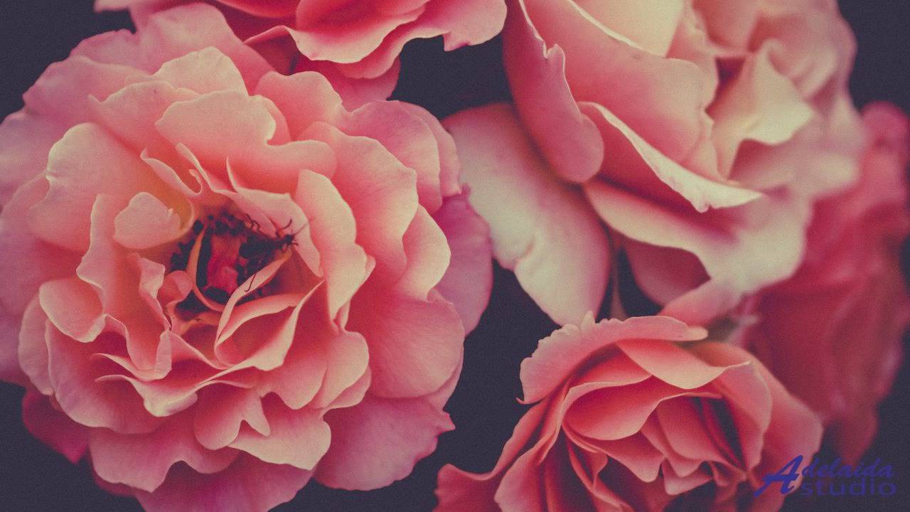 ❤❤❤ Классная музыка для тонуса  Uplifting and Inspiring Acoustic Guitar and Piano -- Greg Kirkelie -