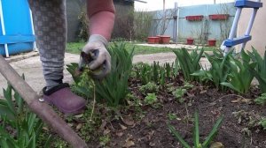 Зацвели миндаль и абрикосы🌺🌺🌺 Строим сами сарай🐤🐔💪 Пришли дожди💧Дом в станице🏠