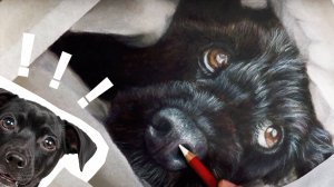 🎨 Реалистичный релакс-рисунок собаки 🐶 | Пастель + Карандаши