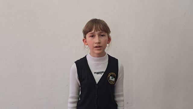 Шевченко Виктория, 11 лет, школа п. Ольга - Тот самый длинный день в году