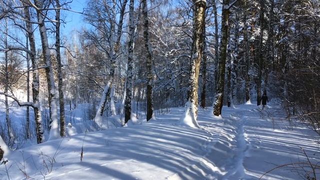 Уходящий в лес смотреть онлайн
