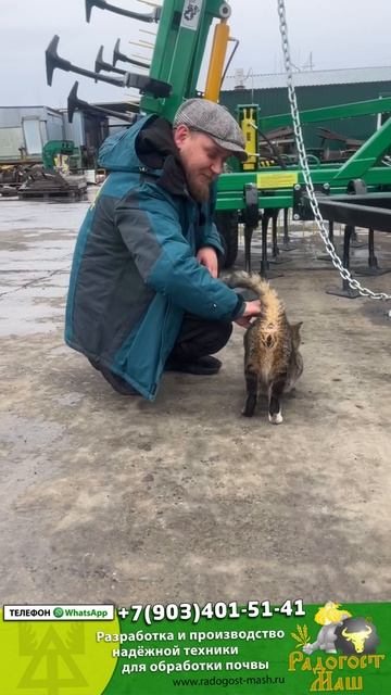 Радогост-Кот🔰 Василий на съёмках нового видео #кот #четвероногийдруг #котик #питомец #радогостмаш