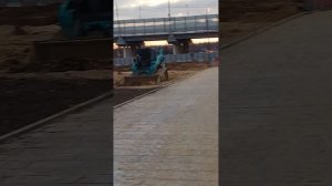 Розовый закат