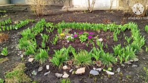 Жизнь на пенсии//Хроника дня, весна☀️// Белгород// 27_03_2025//Поболтаем?//АйДа со мной в Дубовое🌳