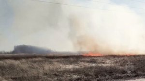 Палы сухой травы - преступление