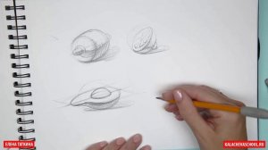 Как нарисовать фрукты — Академический рисунок. Пошаговый урок Елены Таткиной